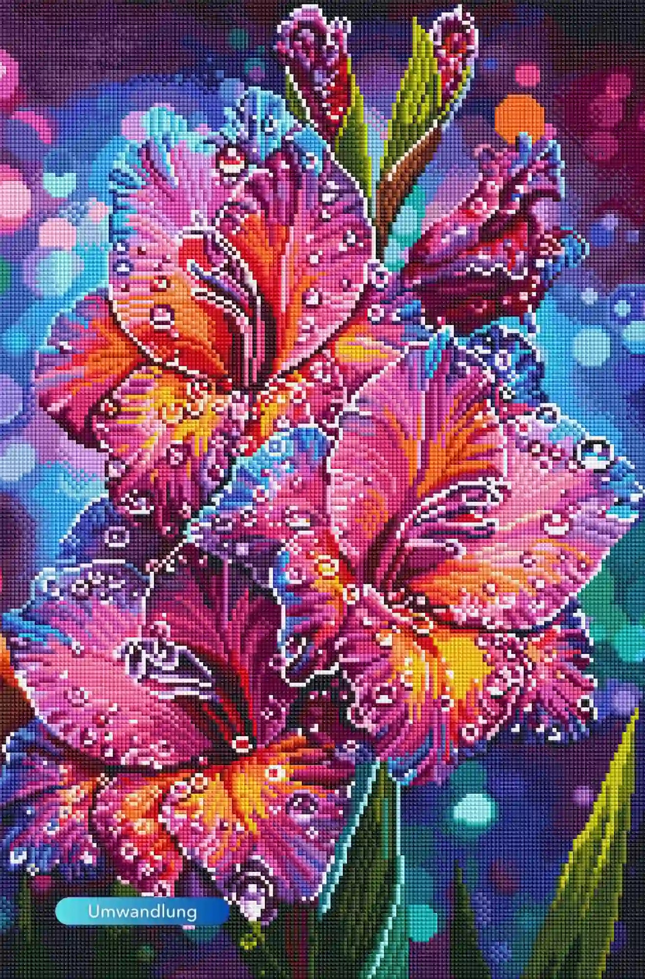 Diamond Painting Set Motiv Morgentau: Bunte Gladiole mit funkelnden Tautropfen auf rosa-violetten Blütenblättern.