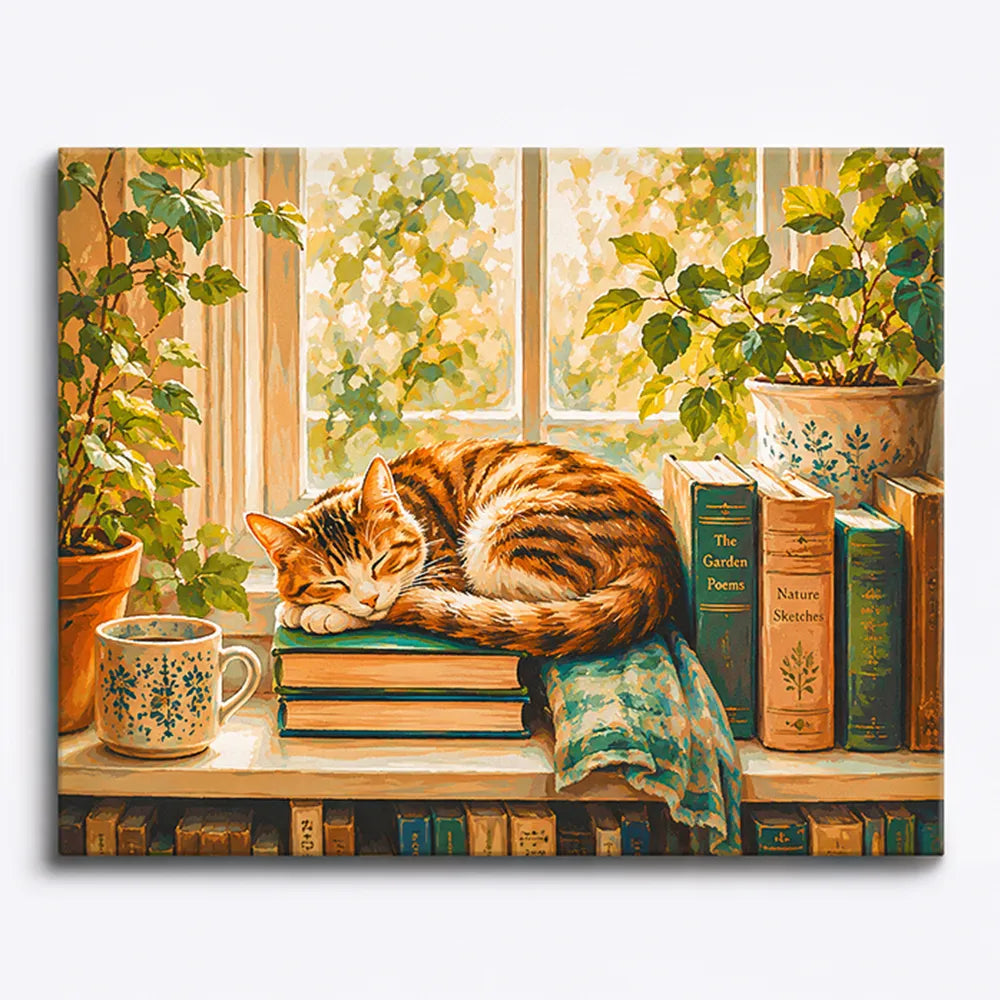 Malen nach Zahlen für Erwachsene: Schlafende Katze auf Büchern am Fenster, ein gemütliches DIY-Set von Picmondoo.