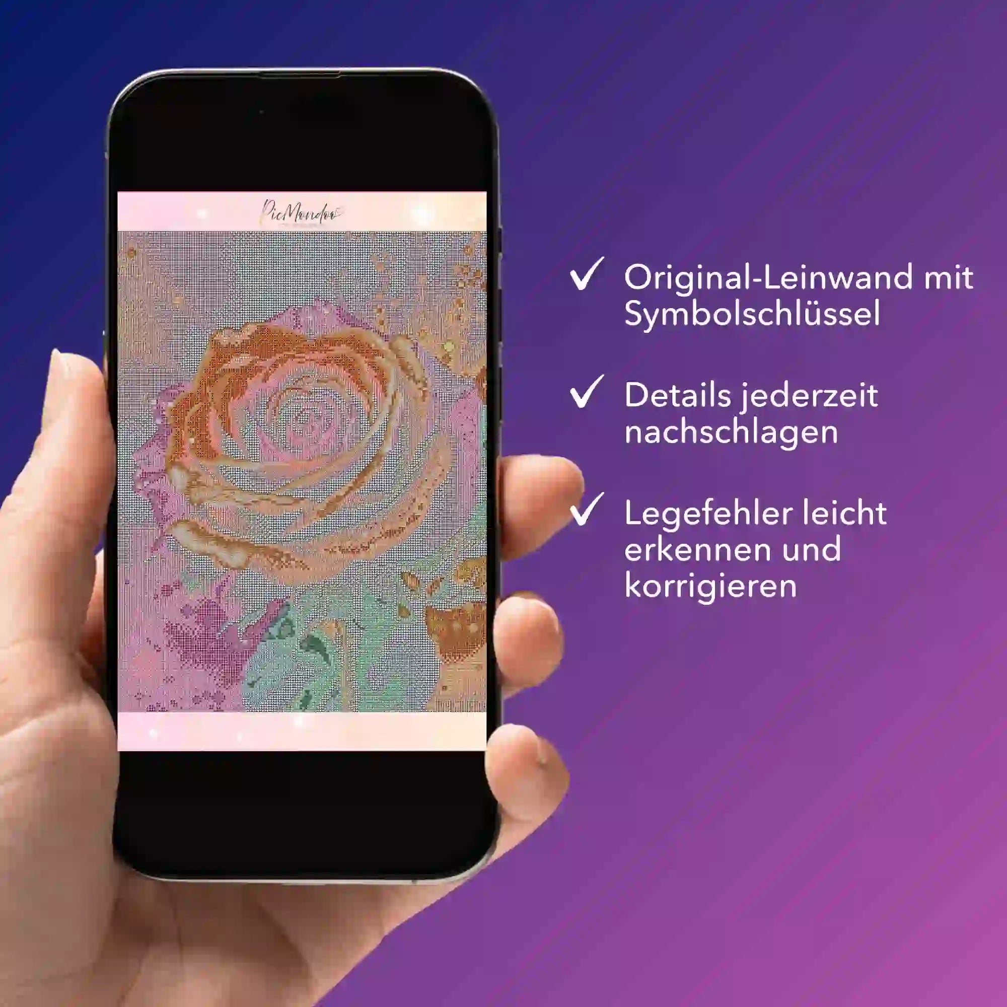 Digitale Bildmappe - Colorful Rose