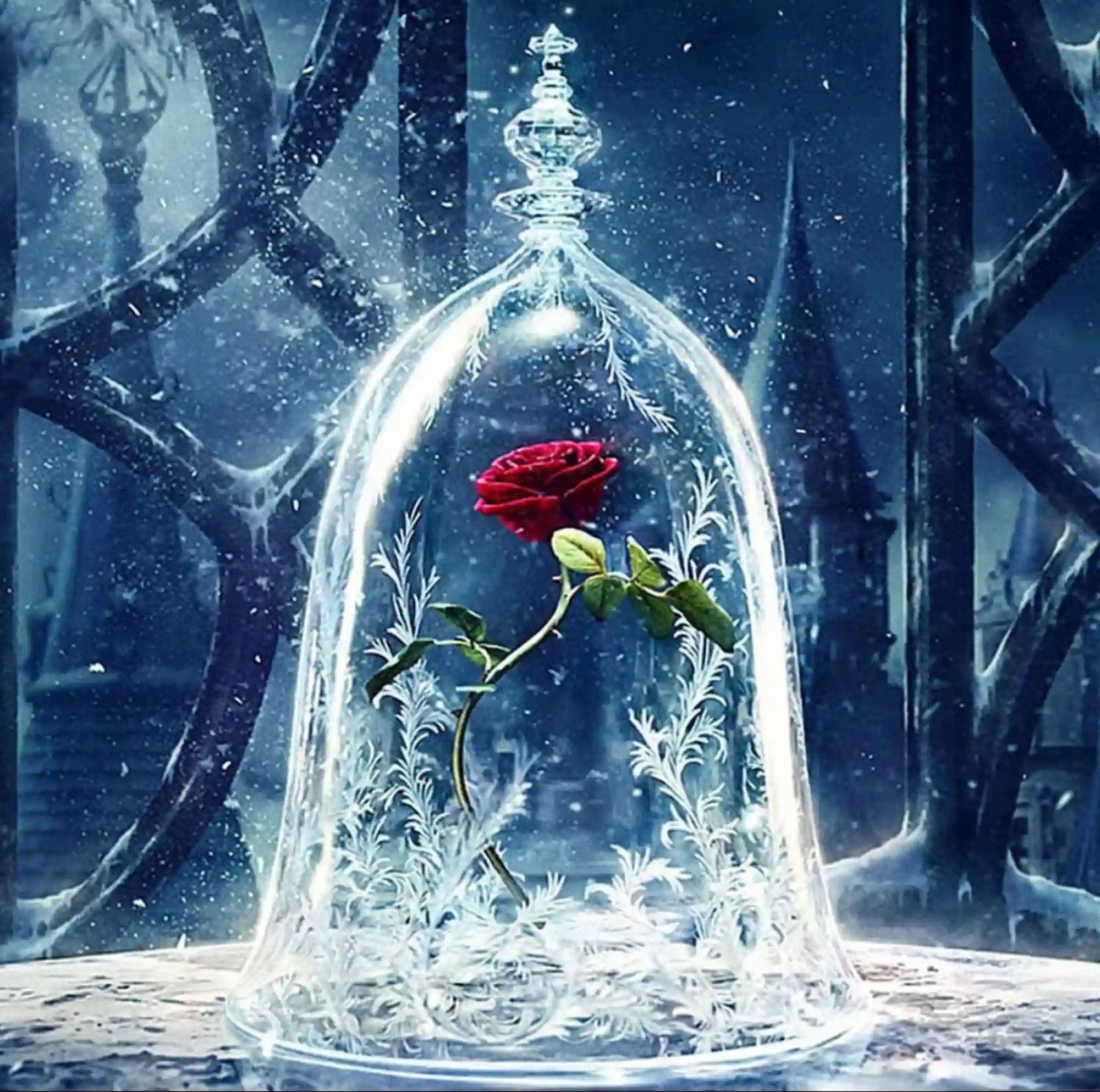 Diamond Painting - Rose im Wunderglas